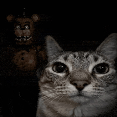 FNAF reaction